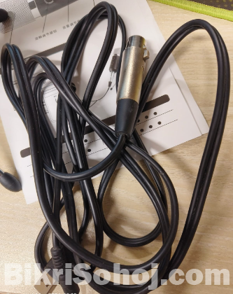 BM100 Condenser Microphone  Audio Record Microphone